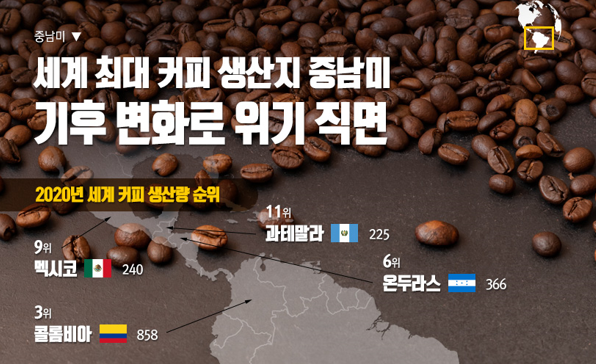 [이슈인포그래픽] 세계 최대 커피 생산지 중남미, 기후 변화로 위기 직면