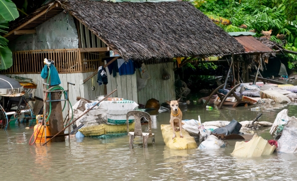 [이슈트렌드] 필리핀과 말레이시아, 기후 변화로 큰 수해 입어... 국제사회 지원 나서