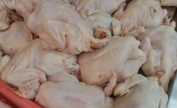 [이슈트렌드] 말레이시아 닭고기 수출 금지 발표 후 양계 농가 반발