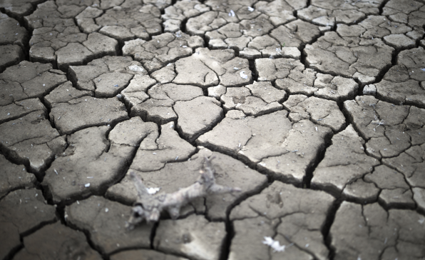 [이슈트렌드] 우루과이, 심각한 가뭄이 사회문제로 비화