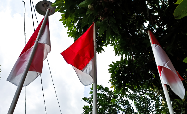 [이슈트렌드] 인도네시아 대통령, 아프리카 순방을 통해 경제 외교에 나서