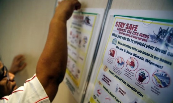 [포토] 싱가포르 지카바이러스 확산, 추가 감염자 17명 발생
