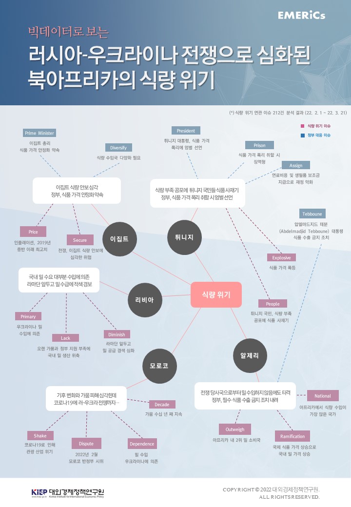 Emerics 신흥지역정보 종합지식포탈