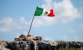 멕시코 정당 연합의 함의와 전망