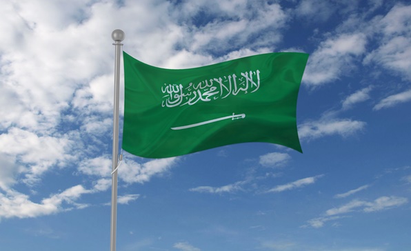 [전문가오피니언] 반부패 숙청 나서는 사우디아라비아