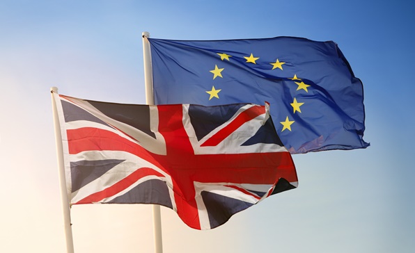 [동향세미나] 브렉시트 이행기: EU-제3국 간 FTA의 영국 적용 관련 논의 동향