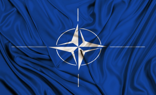 [이슈트렌드] 조지아, NATO와 합동군사훈련 실시