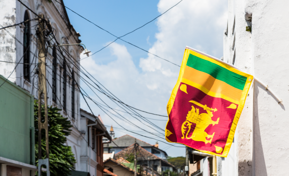 [전문가오피니언] 스리랑카 경제 위기의 원인: 경제 구조 문제와 현 정부의 실책