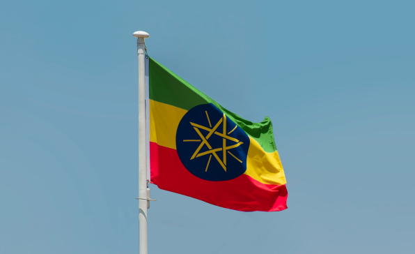 [전문가오피니언] 에티오피아의 디지털 전환 전략: 평가와 전망