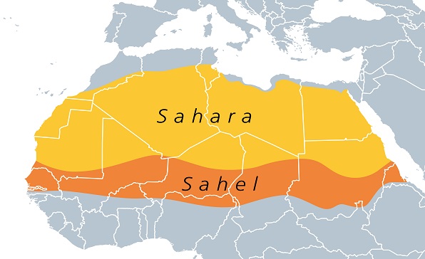 [전문가오피니언] 아프리카 연안 국가로 확산되고 있는 사헬 지역 분쟁의 원인과 역학