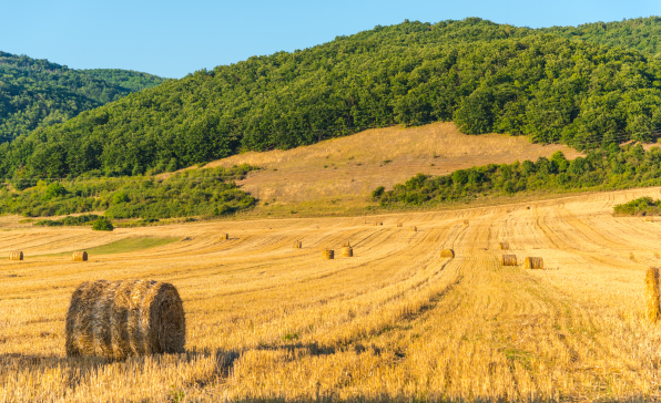 [이슈트렌드] 루마니아, 농민 불만에 우크라이나산 농산물 수입 제한 조치 도입