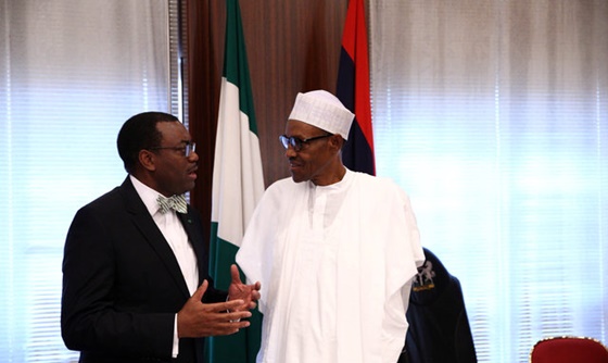 [포토] 나이지리아 대통령, 아프리카 개발 은행 총재와 이야기 나누어