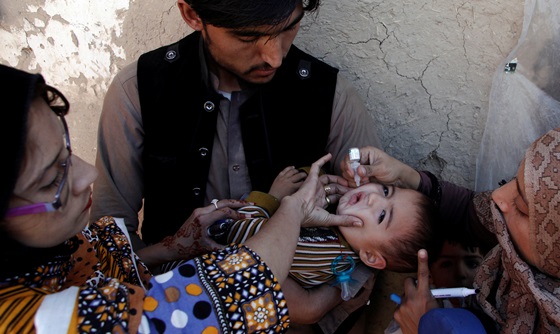 [포토] 소아마비 예방 백신을 받고 있는 파키스탄 아동 