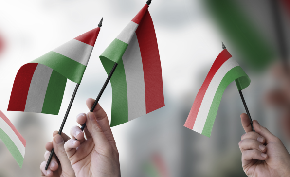[이슈트렌드] 헝가리, 반정부 시위 속 새로운 야권 지도자 부상